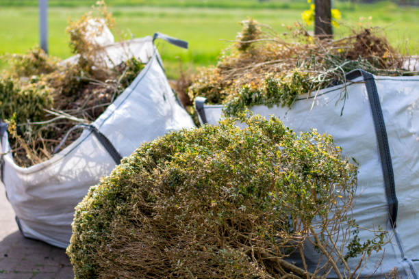 Best Office Junk Removal  in Glencoe, AL